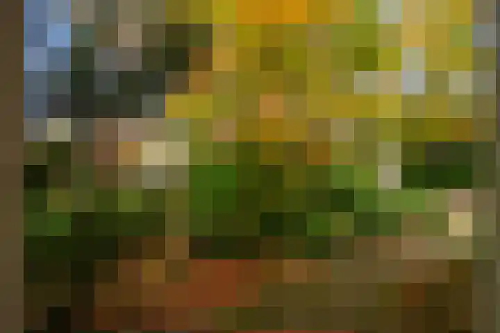 Tooroplaan 19 Weert thumbnail 9