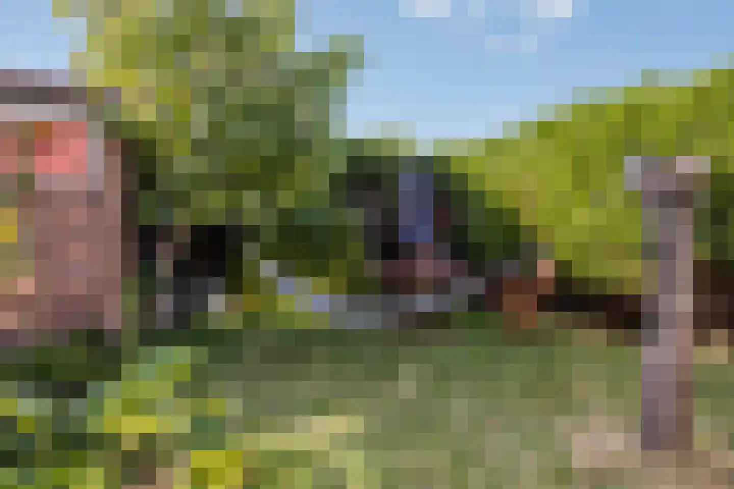 Tooroplaan 31 Vlissingen thumbnail 25