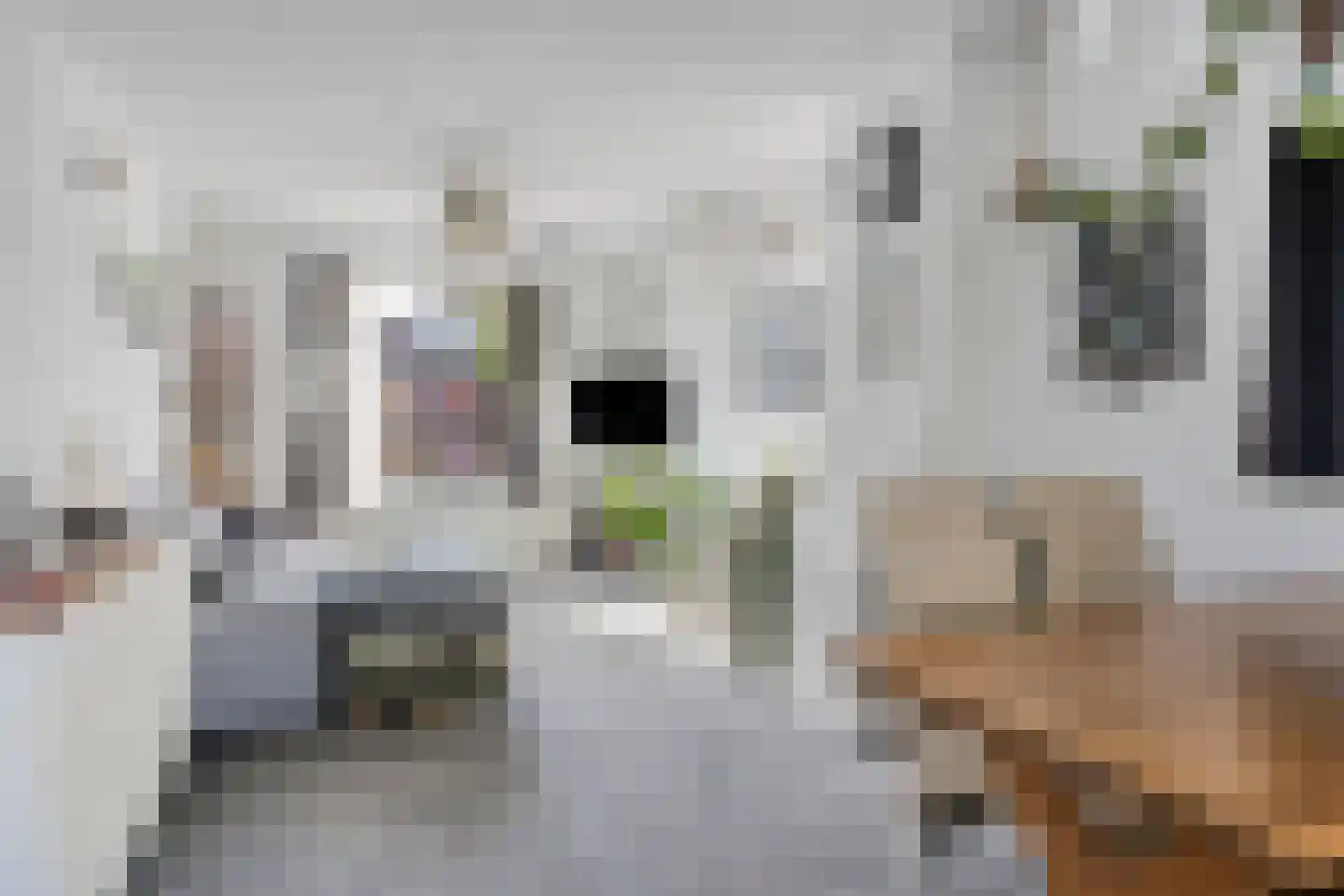 Tooroplaan 31 Vlissingen thumbnail 5