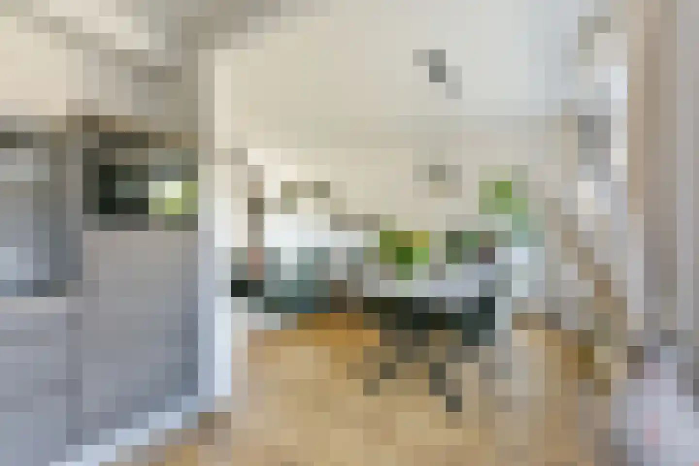 Tooroplaan 4 Nieuwegein thumbnail 17