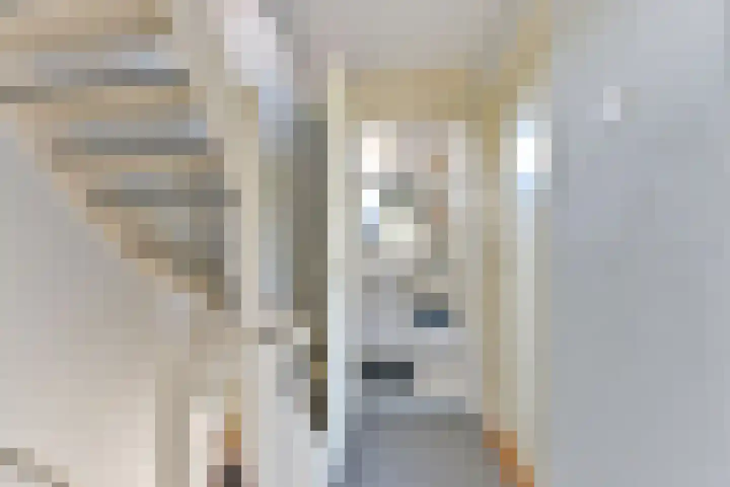 Tooroplaan 4 Nieuwegein thumbnail 36