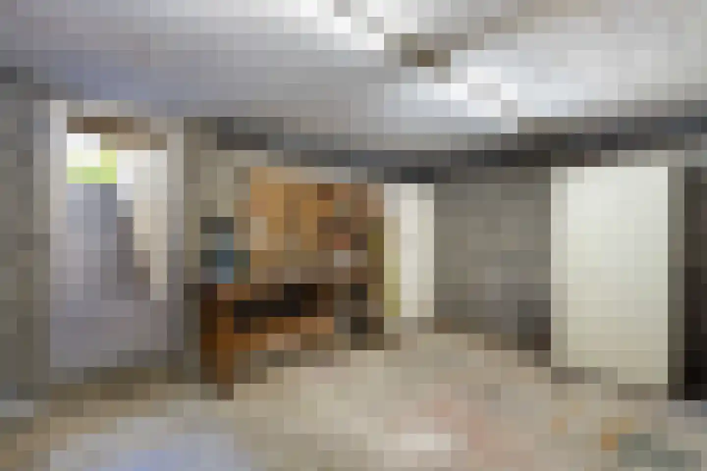 Tooroplaan 5 Weert thumbnail 36