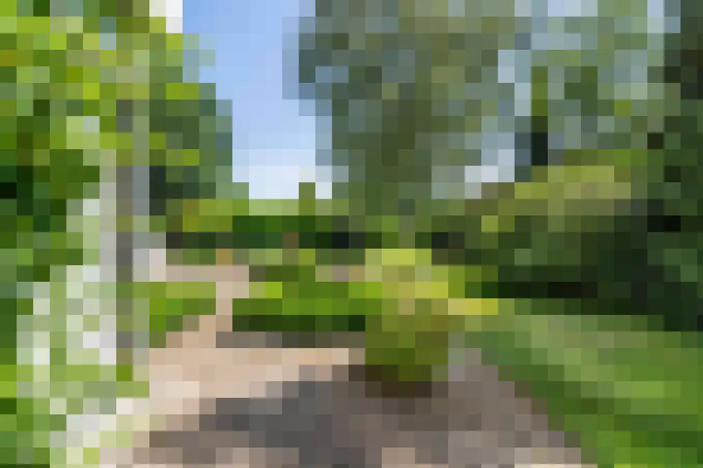 Tooroplaan 5 Weert thumbnail 39