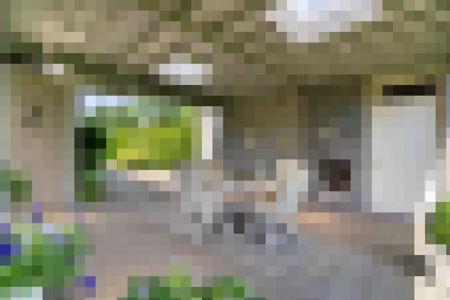 Tooroplaan 5 Weert thumbnail 41