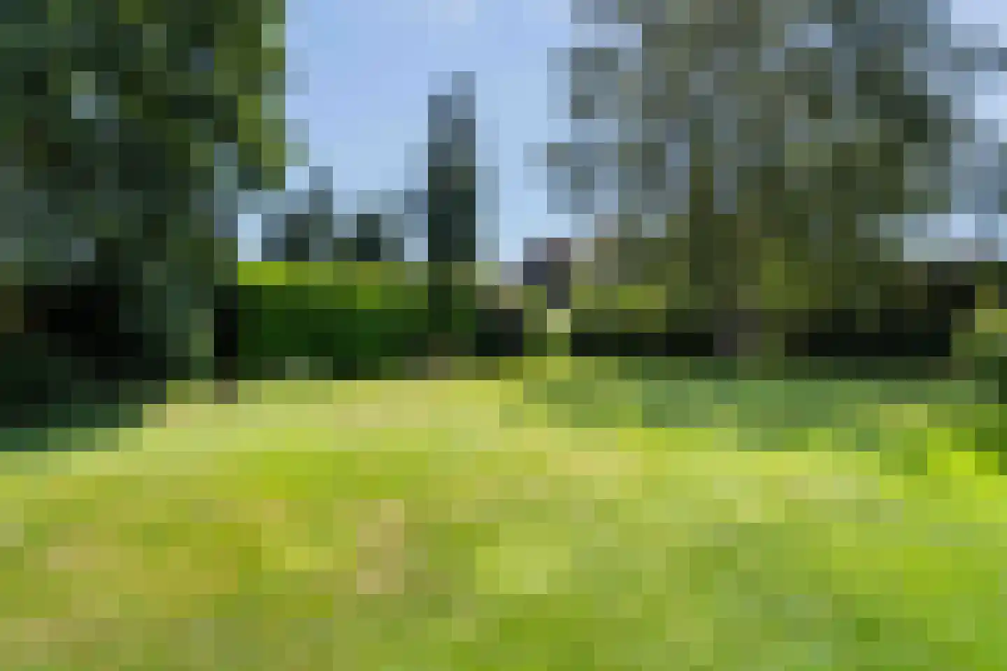 Tooroplaan 5 Weert thumbnail 43