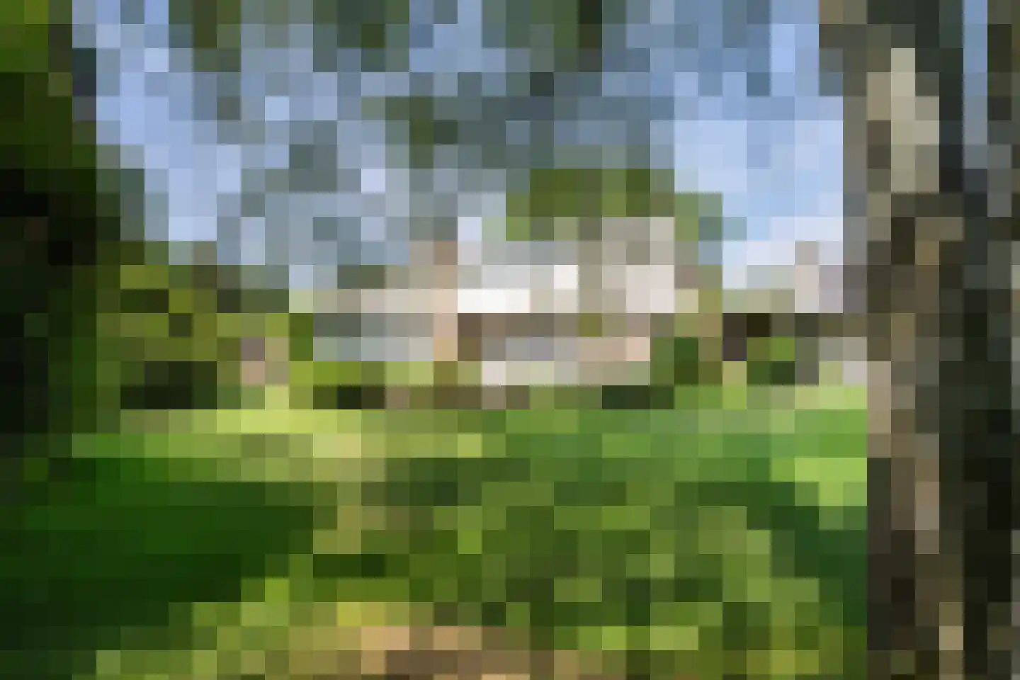Tooroplaan 5 Weert thumbnail 47