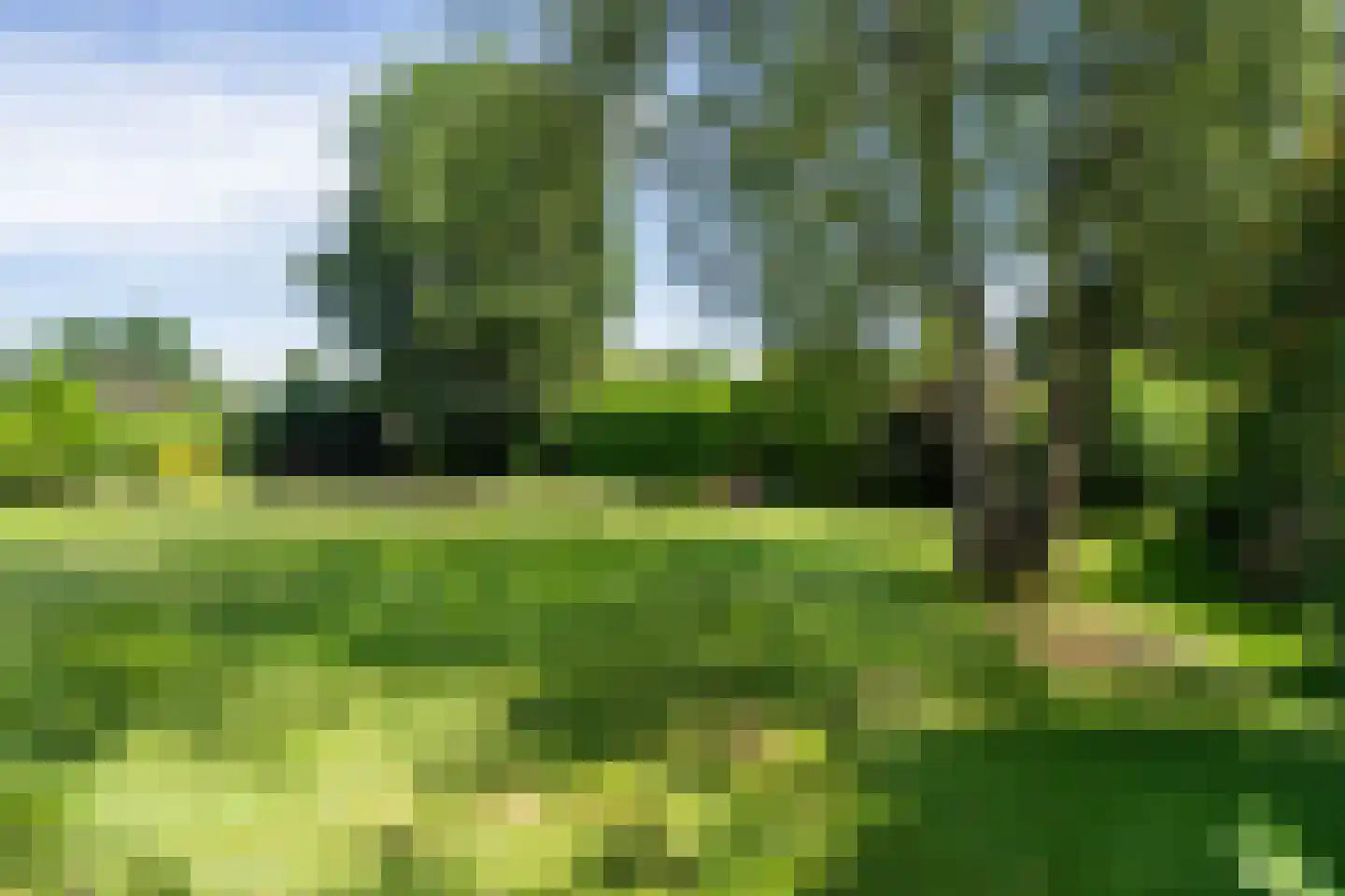 Tooroplaan 5 Weert thumbnail 48