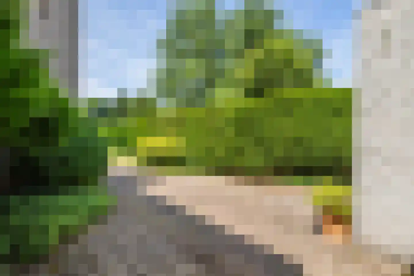 Tooroplaan 5 Weert thumbnail 50