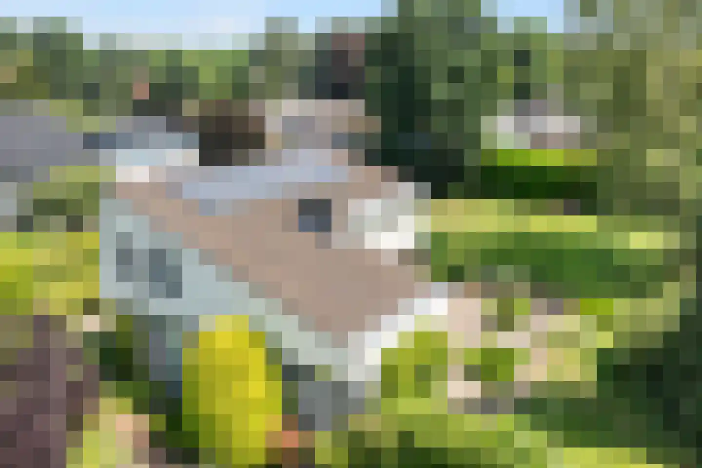 Tooroplaan 5 Weert thumbnail 53