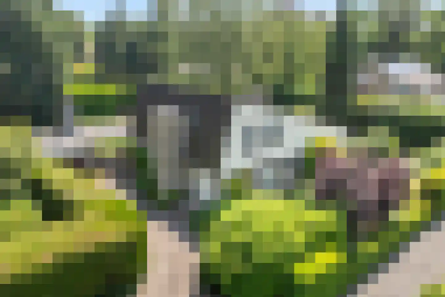Tooroplaan 5 Weert thumbnail 54