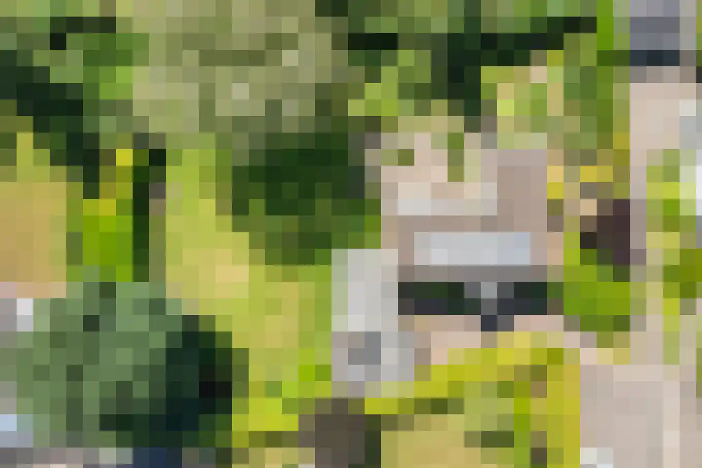 Tooroplaan 5 Weert thumbnail 55