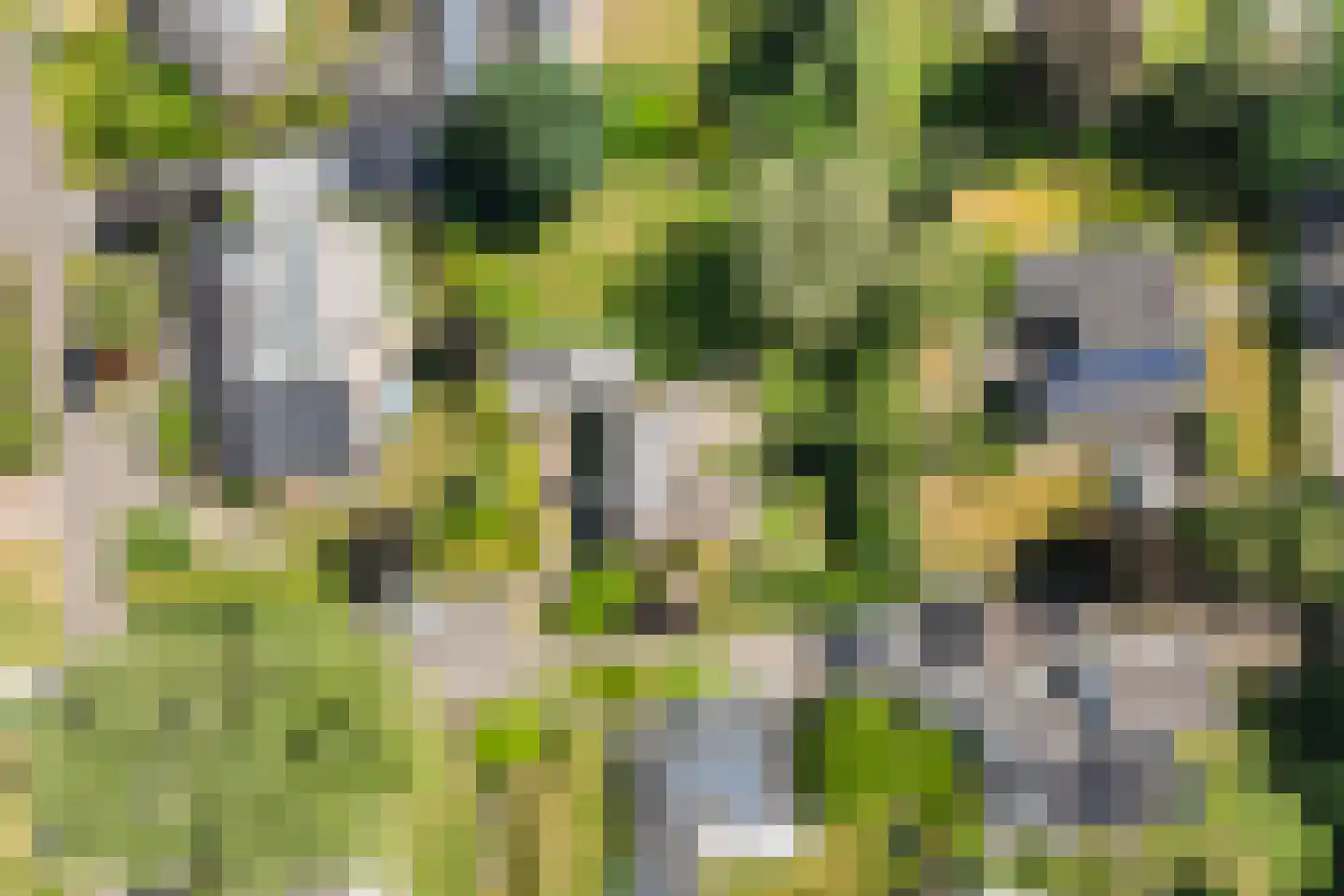 Tooroplaan 5 Weert thumbnail 56