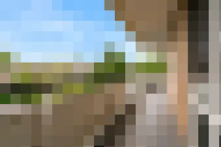 Tooroplaan 52 Maassluis thumbnail 31