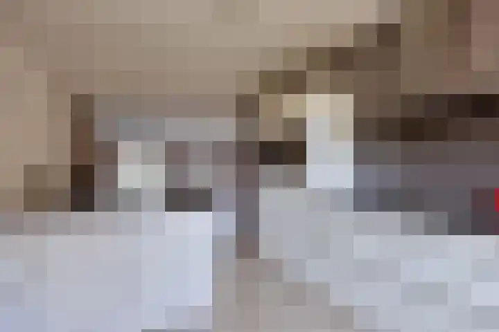 Tooroplaan 6 Rhoon thumbnail 20