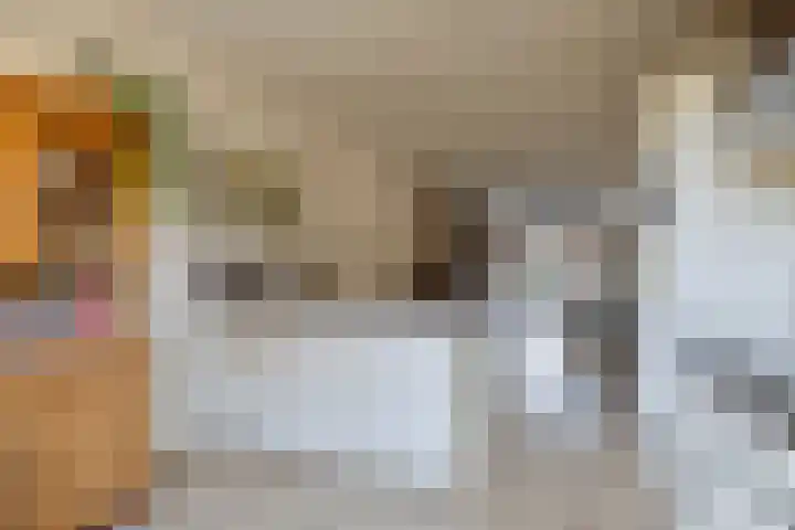 Tooroplaan 6 Rhoon thumbnail 22