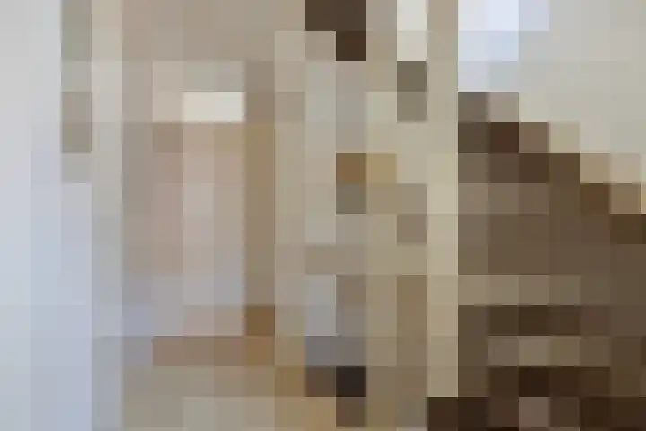Tooroplaan 6 Rhoon thumbnail 26