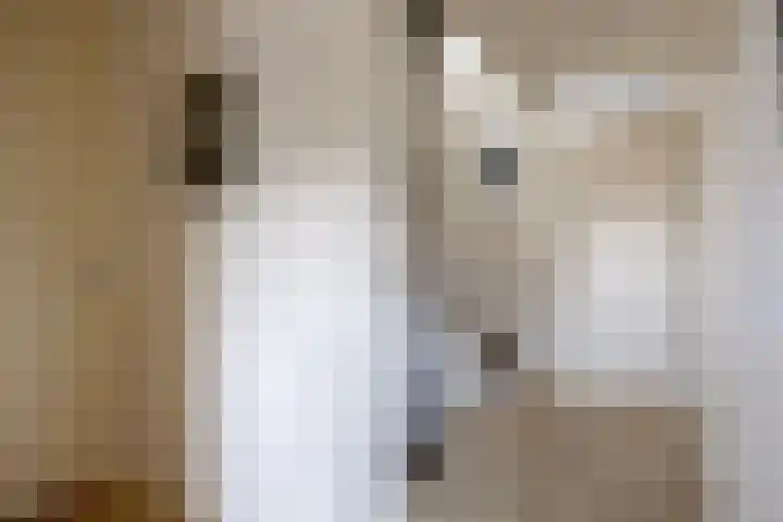 Tooroplaan 6 Rhoon thumbnail 28