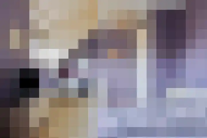 Tooroplaan 6 Rhoon thumbnail 35