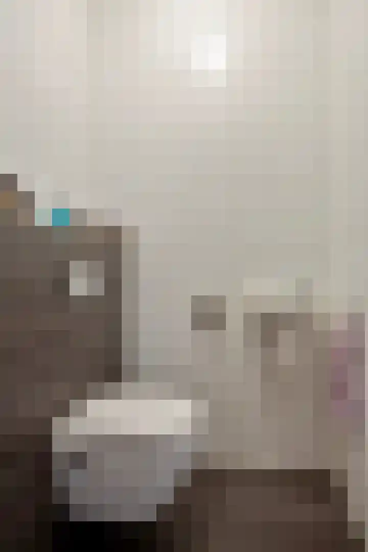 Tooroplaan 6 Rhoon thumbnail 5