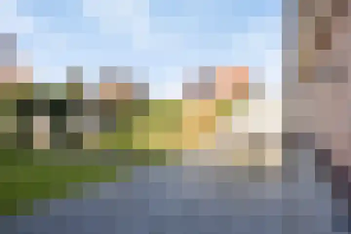 Tooroplaan 6 Rhoon thumbnail 50
