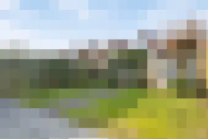 Tooroplaan 6 Rhoon thumbnail 55