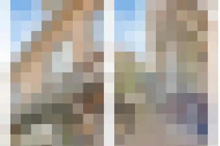 Tooroplaan 6 Rhoon thumbnail 58
