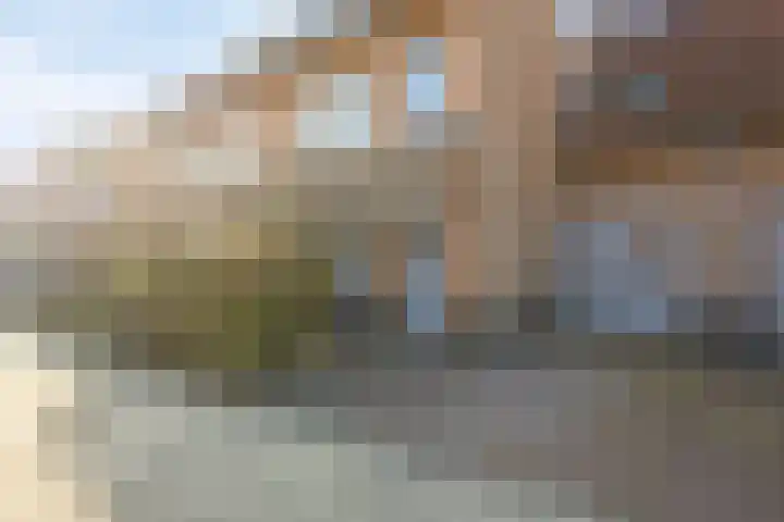 Tooroplaan 6 Rhoon thumbnail 62
