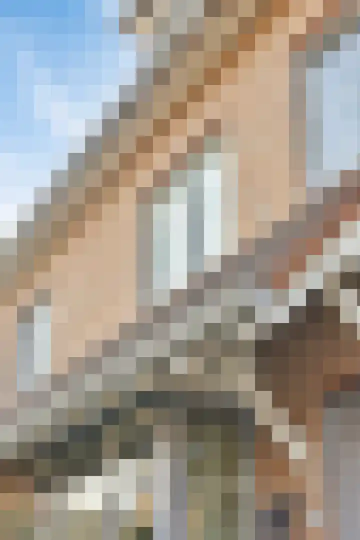 Tooroplaan 6 Rhoon thumbnail 65