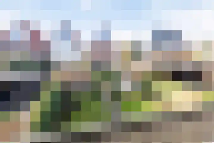 Tooroplaan 6 Rhoon thumbnail 69