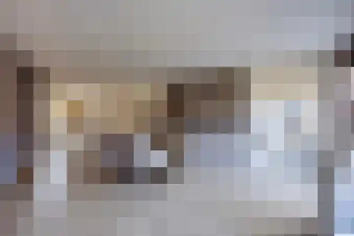 Tooroplaan 6 Rhoon thumbnail 7