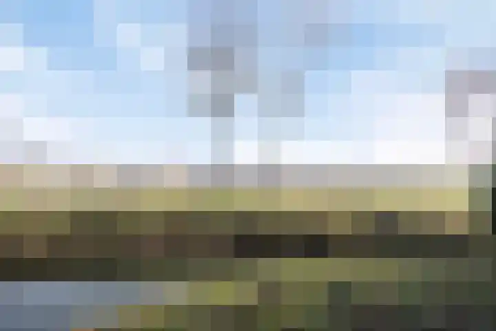 Tooroplaan 6 Rhoon thumbnail 72