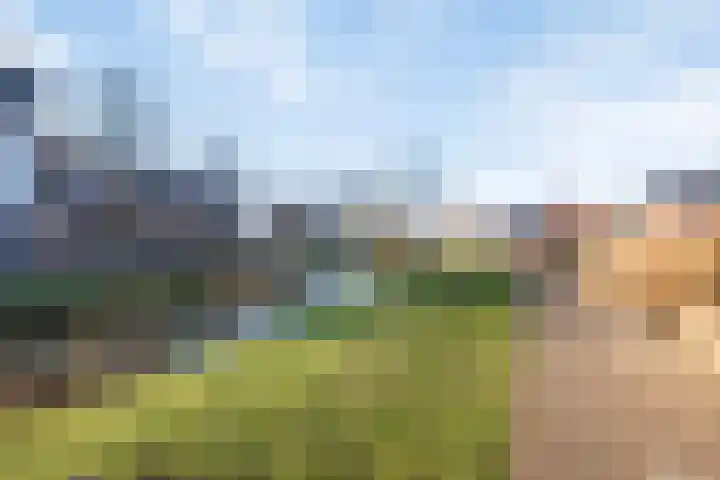 Tooroplaan 6 Rhoon thumbnail 74