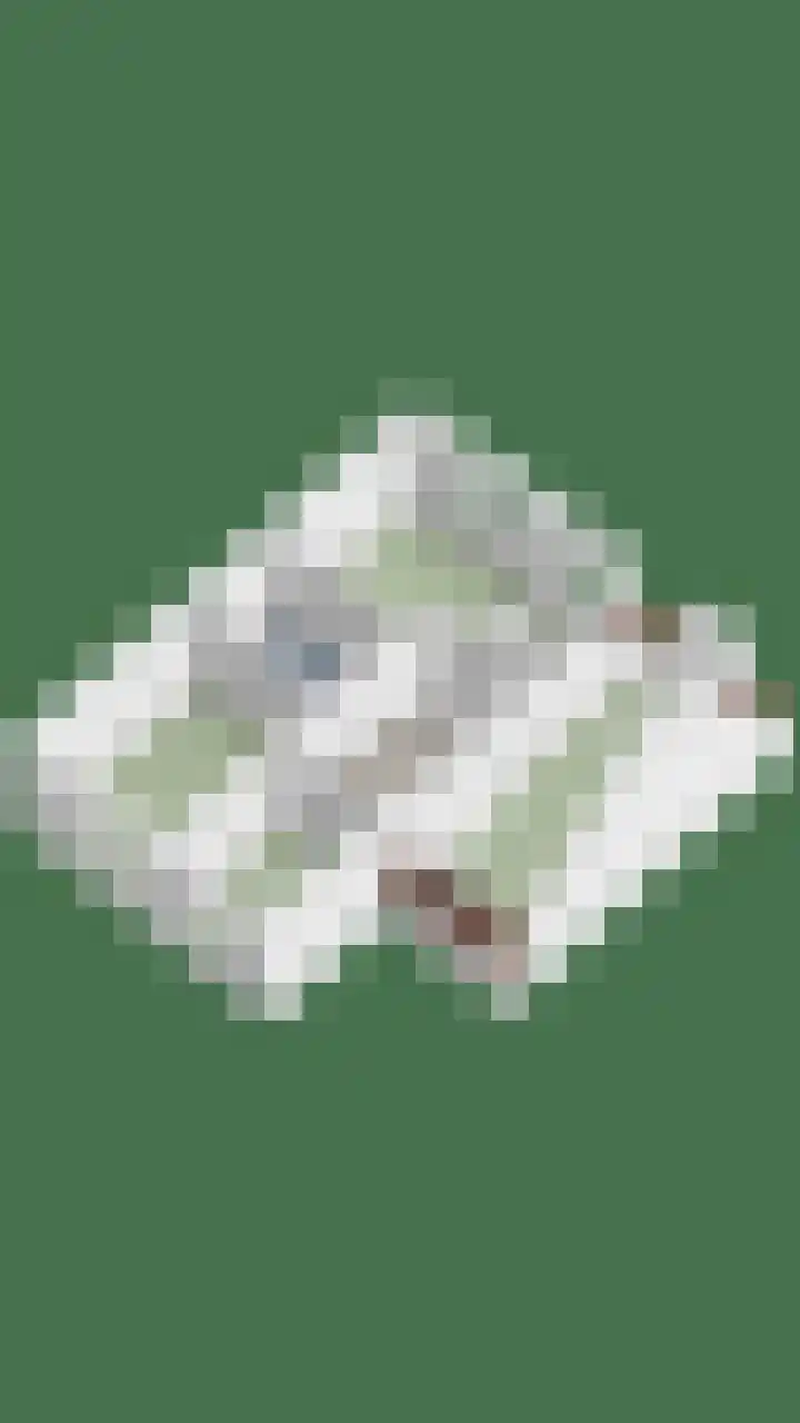 Tooroplaan 6 Rhoon thumbnail 81