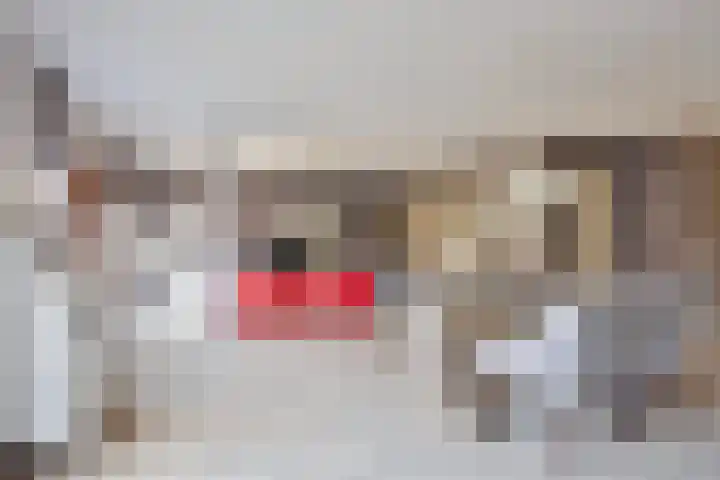 Tooroplaan 6 Rhoon thumbnail 9