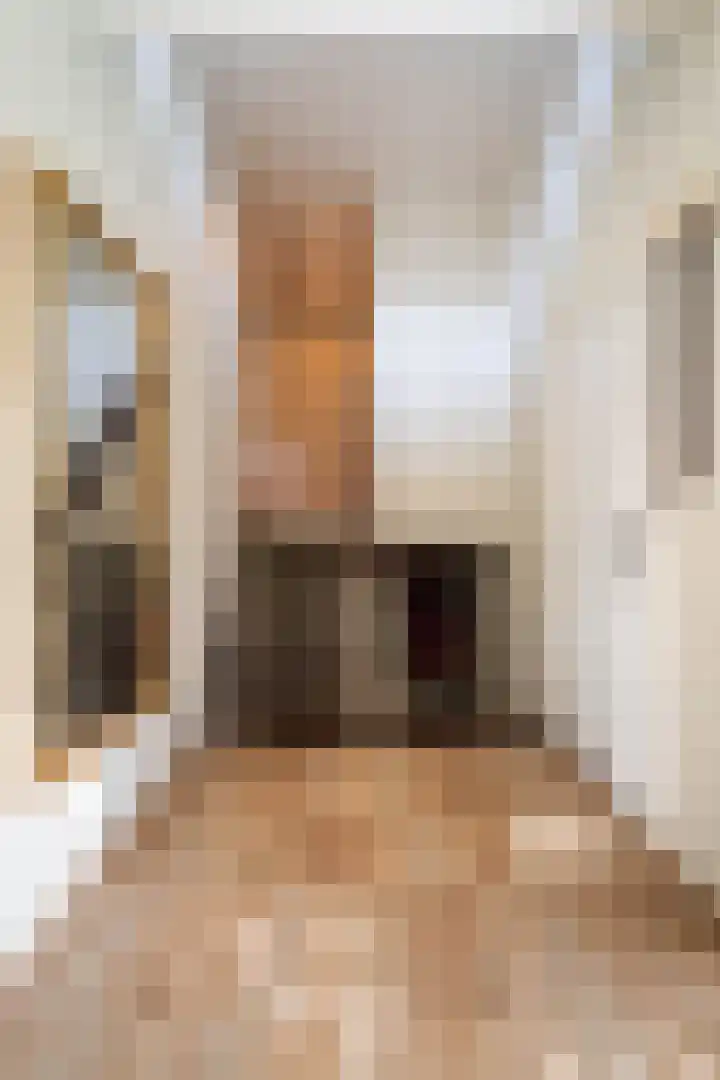 Tooroplaan 6 Weert thumbnail 20