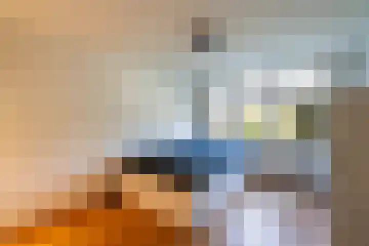 Tooroplaan 6 Weert thumbnail 23