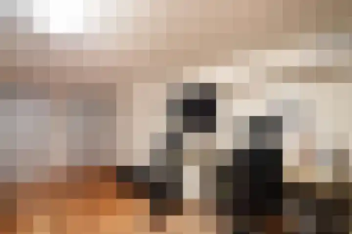 Tooroplaan 6 Weert thumbnail 32