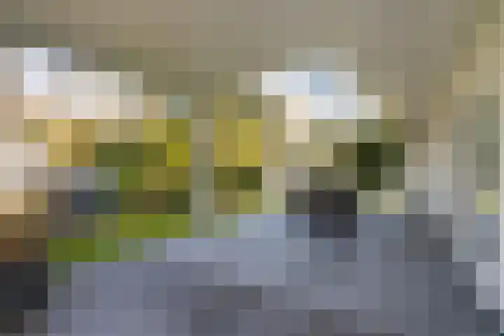 Tooroplaan 6 Weert thumbnail 38
