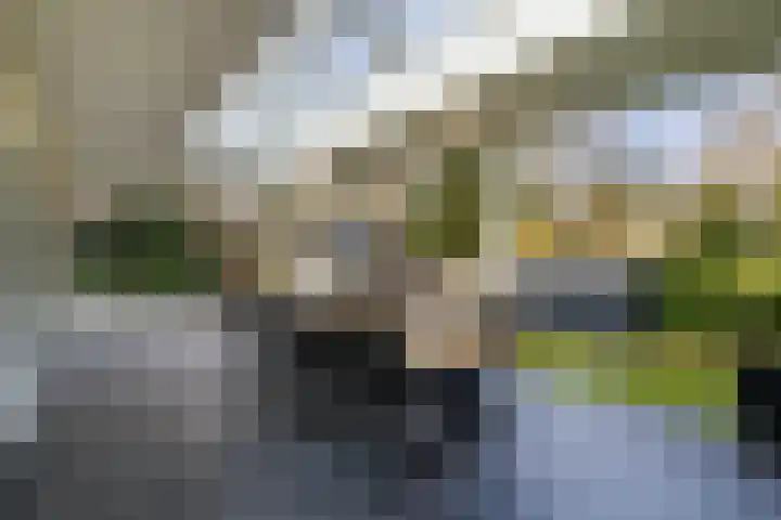 Tooroplaan 6 Weert thumbnail 4
