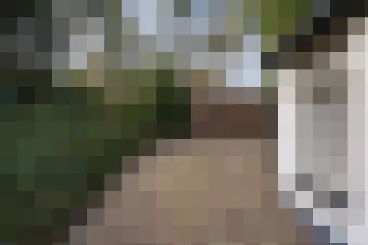 Tooroplaan 6 Weert thumbnail 46