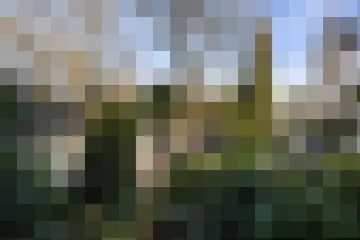 Tooroplaan 6 Weert thumbnail 47