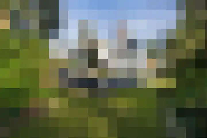 Tooroplaan 6 Weert thumbnail 48