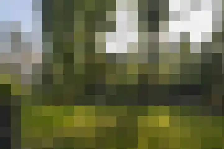 Tooroplaan 6 Weert thumbnail 49