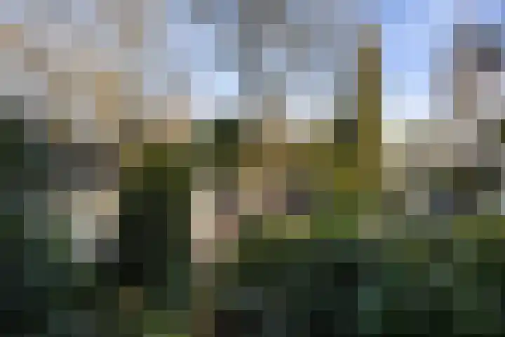 Tooroplaan 6 Weert thumbnail 5