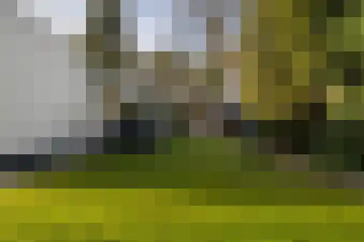 Tooroplaan 6 Weert thumbnail 50