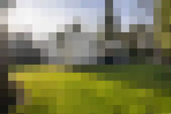 Tooroplaan 6 Weert thumbnail 51