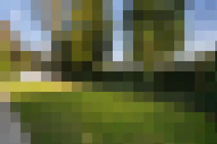 Tooroplaan 6 Weert thumbnail 52