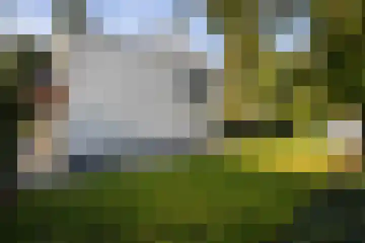 Tooroplaan 6 Weert thumbnail 53