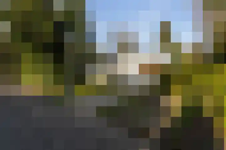 Tooroplaan 6 Weert thumbnail 56
