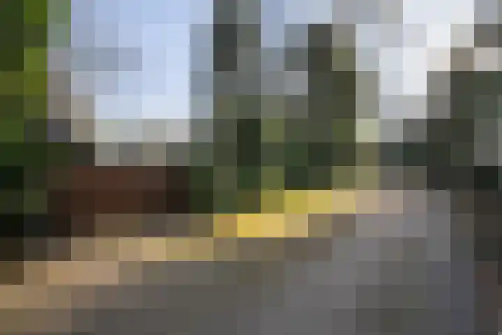 Tooroplaan 6 Weert thumbnail 57